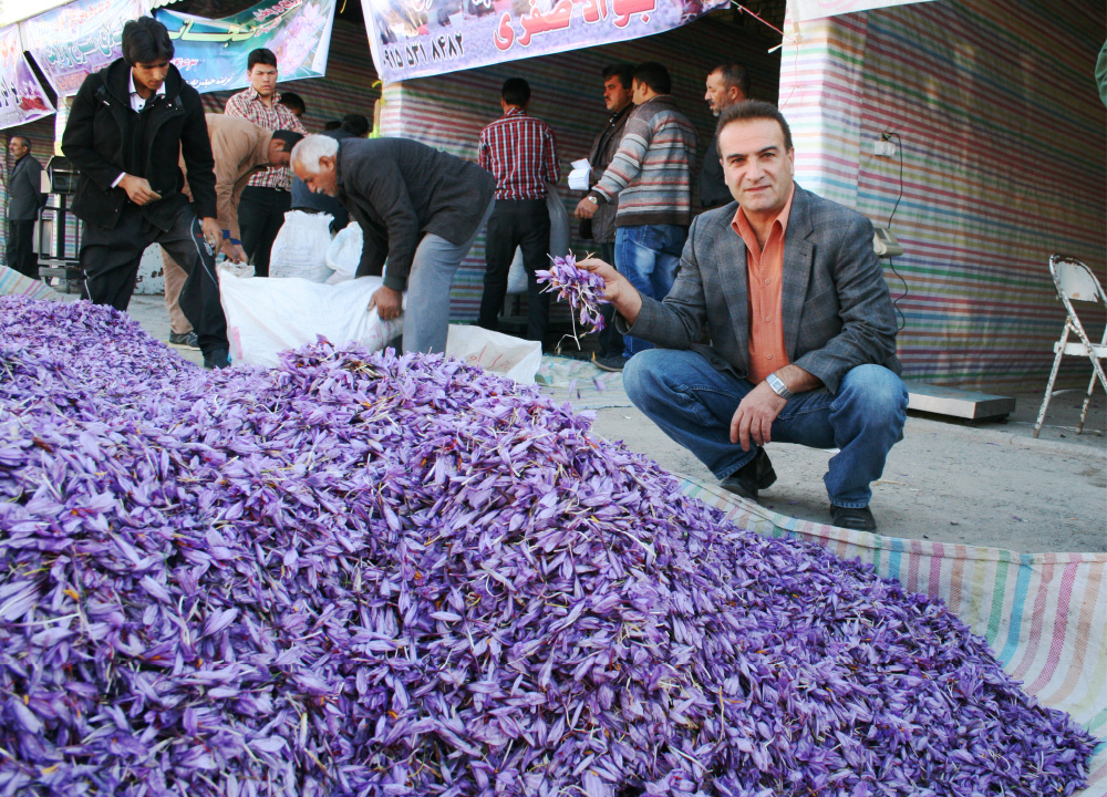 Saffron wholesalers