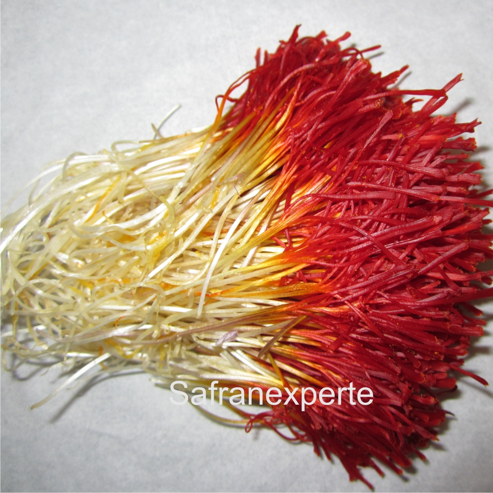 Saffron threads - Dochtar Pitsch (Bunch)  Natural saffron Expert - complete stigmas in bundles